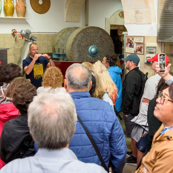 Tour e degustazioni di olio extra vergine di oliva nello storico frantoio oleario Lucarella a Martina Franca in Puglia